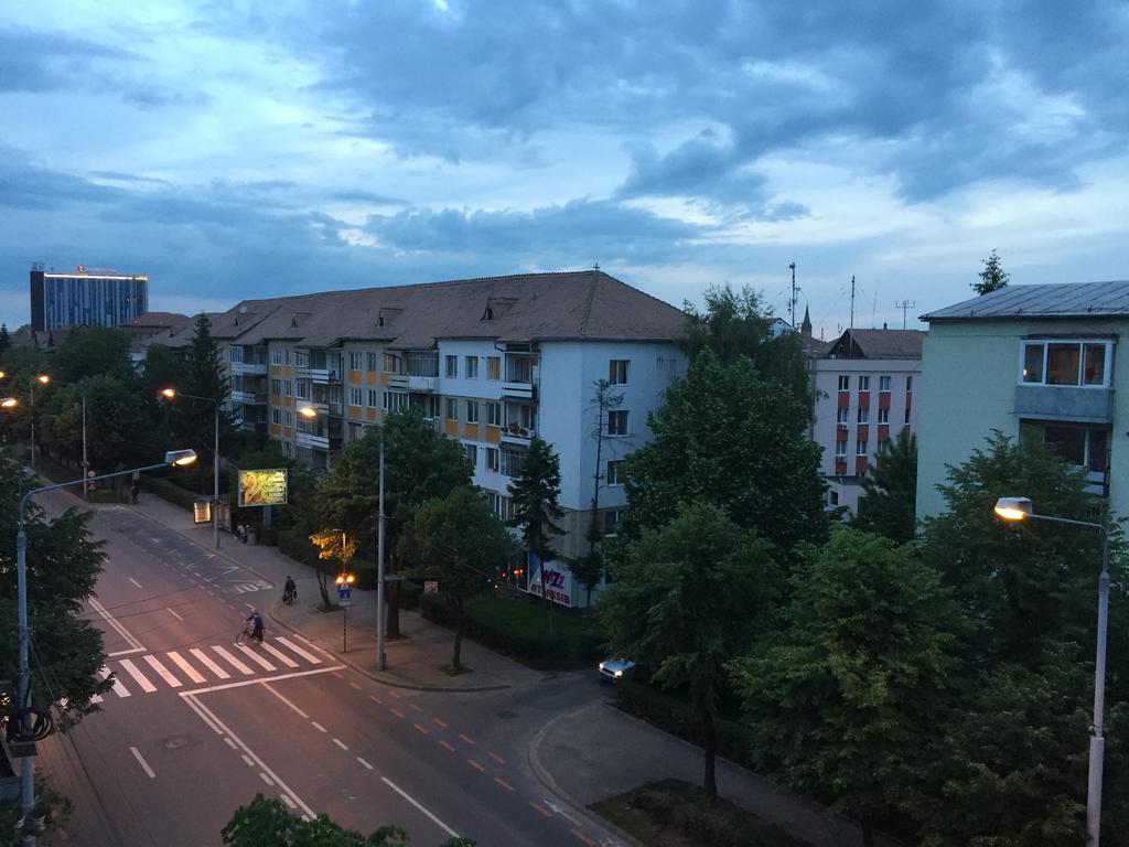 The View Apartment Sibiu Exterior foto